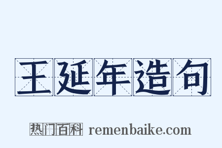 王延年造句是什么意思的图片